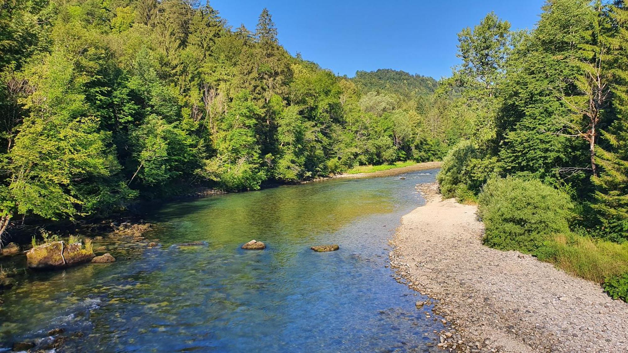 Eco River Camp - Pitches Radovljica Esterno foto